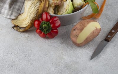 Průměrný Čech vyhodí asi 40 kg jídla ročně. Jak tento odpad efektivně využít?