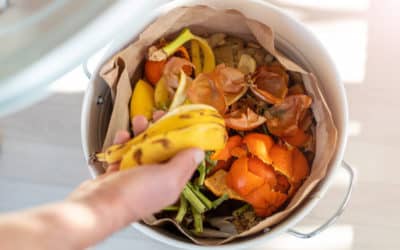 Přes 300 stravovacích provozů na Moravě a ve Slezsku separuje potravinový odpad se službou „Třídím gastro“