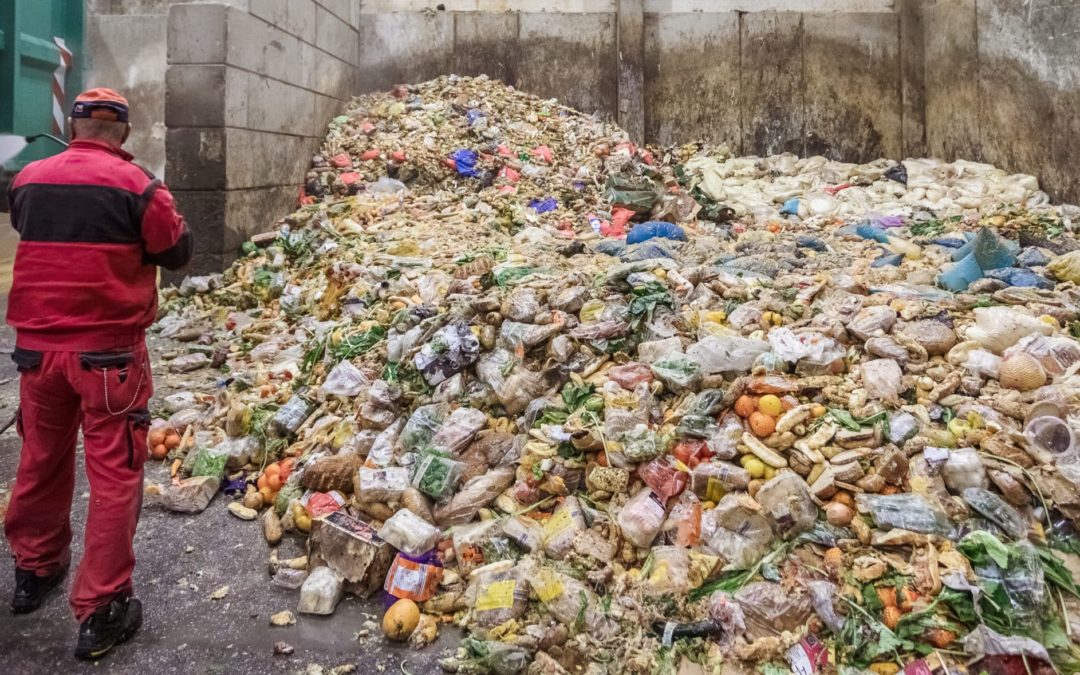 Sběr kuchyňského odpadu v ČR roste. Služba „Třídím gastro“ letos počítá se svozem téměř 5 000 tun odpadu
